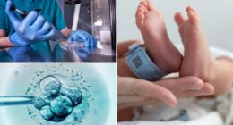 New IVF technique uses DNA from three people to prevent genetic diseases
