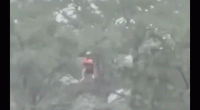 New Jersey Coast Guard swimmer rescues nearly 200 people in deadly Texas flash floods that killed 68