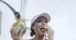 New Jersey seagull snatches sandwich out of stunned woman's hand
