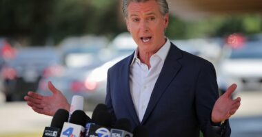 Newsom attempts to slam breaks on Musk and suspend Tesla's operations