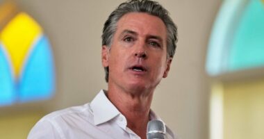 Newsom on Trump Epstein controversy: 'I enjoy the hell out of it'