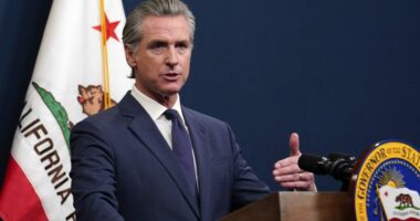 Newsom to devote $101 million to jumpstart rebuilding efforts after LA fires