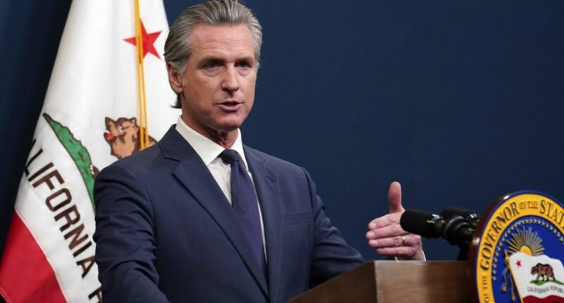 Newsom to devote $101 million to jumpstart rebuilding efforts after LA fires