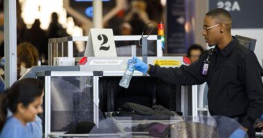 Noem teases 'next big announcement' that may change airport security rule