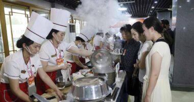 North Korea holds national dog meat cooking competition