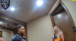 Officers' unexpected pizza delivery goes viral after holiday traffic stop arrest