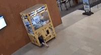 Ohio boy crawls into claw machine, gets stuck, rescued with pride bruised but unharmed