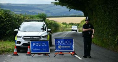 Emergency services respond as several people are in hospital after a school bus crash along A396 in Somerset. Emergency services at Wheddon Cross