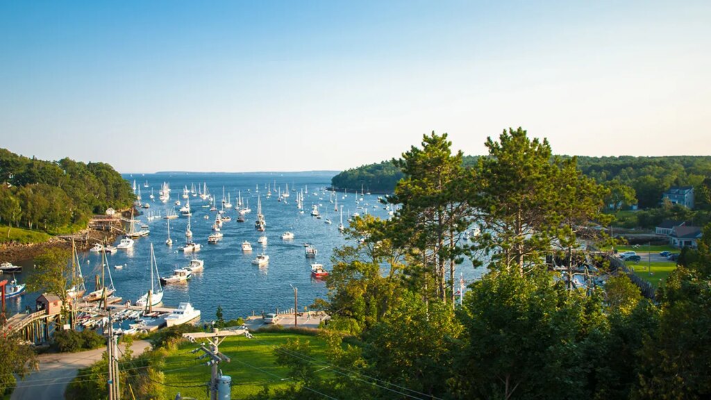 Paddleboarder’s mysterious killing rocks quiet summer vacation area