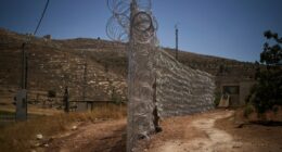 Palestinian-American man from Tampa beaten to death by settlers in West Bank: reports