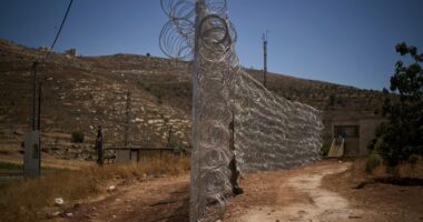Palestinian-American man from Tampa beaten to death by settlers in West Bank: reports