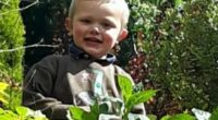 Photo of Daniel John Twigg, a three-year-old boy, who died in a dog attack.