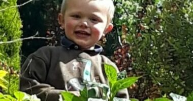 Photo of Daniel John Twigg, a three-year-old boy, who died in a dog attack.