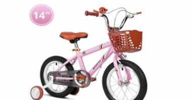 Pink 14" children's bicycle with training wheels and basket, recalled due to lead poisoning risk.