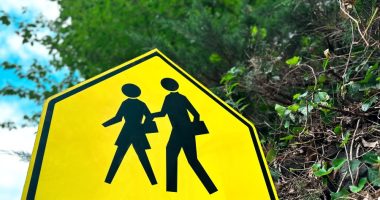 Pasco mom fights for legislative changes after daughter gets hit by car biking to school