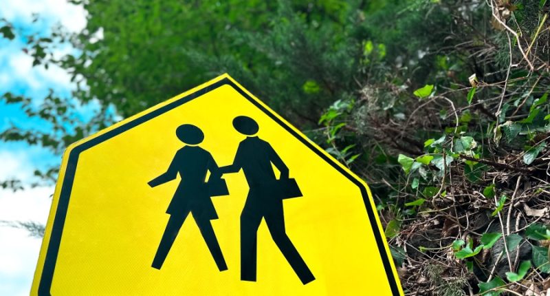 Pasco mom fights for legislative changes after daughter gets hit by car biking to school