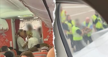 Passengers removed from plane, arrested for alleged vodka-induced drunk and disruptive behavior