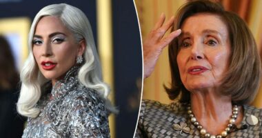 Pelosi calls Lady Gaga concert in San Francisco 'the most fun I've had in a long time'
