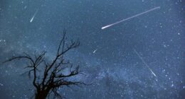 Perseid meteor shower set to begin: How to view