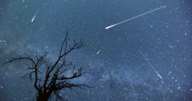 Perseid meteor shower set to begin: How to view