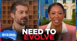 Pete Buttigieg says Dems are too attached to a 'failing' status quo