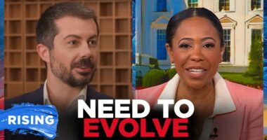 Pete Buttigieg says Dems are too attached to a 'failing' status quo