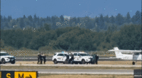 Pilot with 'ideological motive' steals small aircraft and disrupts major international airport operations