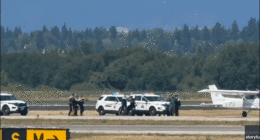 Pilot with 'ideological motive' steals small aircraft and disrupts major international airport operations