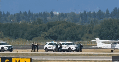 Pilot with 'ideological motive' steals small aircraft and disrupts major international airport operations