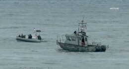 Plane crash off California coast kills 3