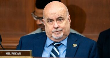 Pocan, Van Orden trade insults on camera: 'Are you drinking right now?'