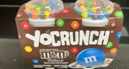 Popular yogurt recalled; could contain sharp plastic pieces