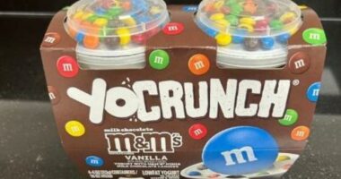 Popular yogurt recalled; could contain sharp plastic pieces