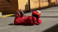 Portland anti-ICE demonstrators confused when person in full-size Elmo costume shows up