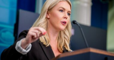 Karoline Leavitt at White House press briefing.