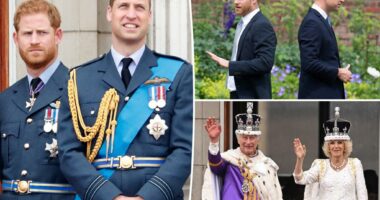 Prince Harry 'worried' about possible exile when Prince William becomes king: biographer
