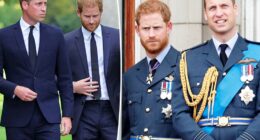 Prince William and Prince Harry's cousin, 20, found dead with a firearm nearby: report