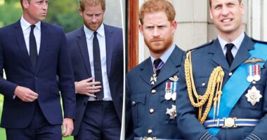 Prince William and Prince Harry's cousin, 20, found dead with a firearm nearby: report