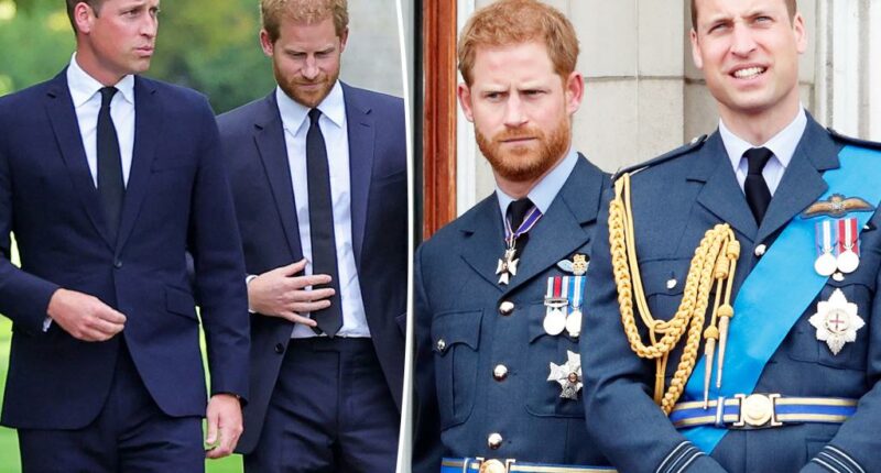 Prince William and Prince Harry's cousin, 20, found dead with a firearm nearby: report