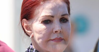 Priscilla Presley, 80, surfaces with pained look in LA