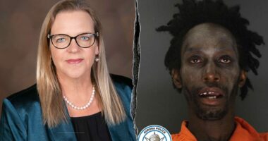 Progressive DA who dismissed alleged sex offender's attempted kidnapping charges faces recall petition