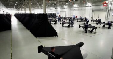 Putin's 'dark destroyer' factory: Inside 'world's biggest drone plant'
