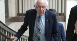 Record number of Senate Democrats vote to block weapon sales for Israel