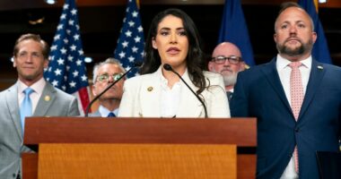 Rep. Anna Paulina Luna talks push for Epstein transparency