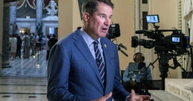 Rep. Moulton: ‘Open-ended question’ if Trump wants Ukraine to win Russian war