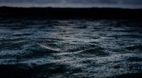 Rescuers find 29 survivors and look for more after ferry sinking near Bali, Indonesia
