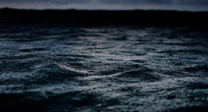 Rescuers find 29 survivors and look for more after ferry sinking near Bali, Indonesia