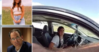 Sanctuary state Colorado sues local cop for allegedly helping ICE arrest illegal immigrant student 