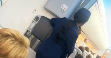 Scary moment plane passenger tries to open cabin doors at 30,000 feet