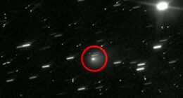 Scientist warns 'hostile' alien ship could hit Earth in just months